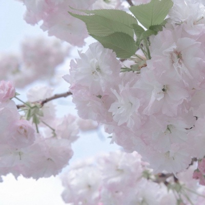 融安FurryQQ群介绍